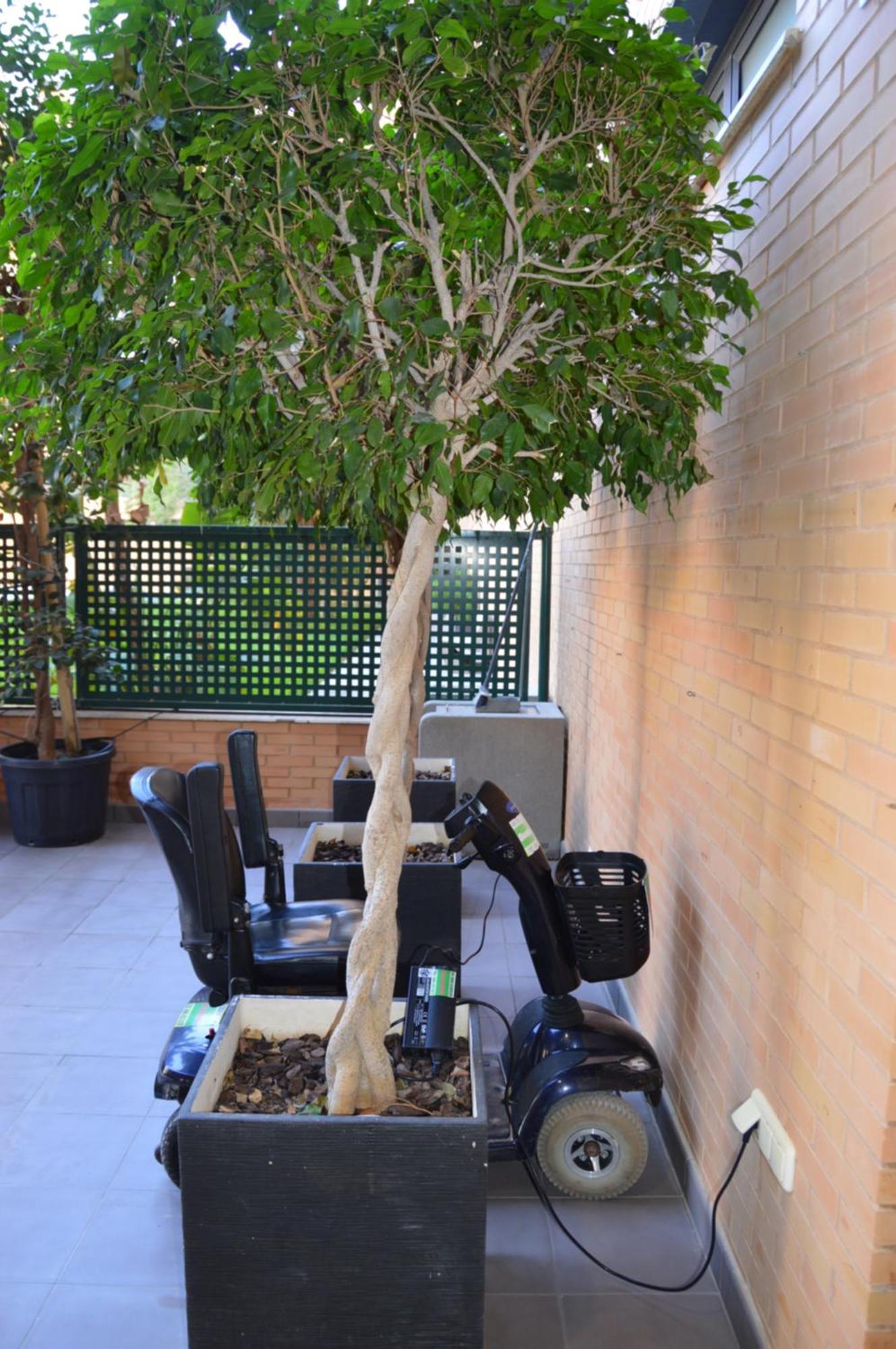 Gastrogroup Holiday Apts El Albir Exterior foto
